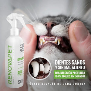 🐾RENOVAPET 🐶 Adiós Al Sarro 😻